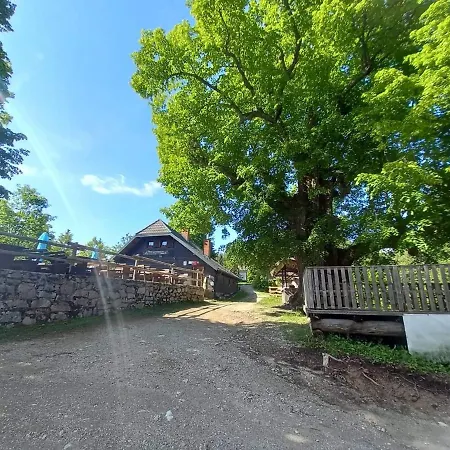 Koca Na Pikovem *