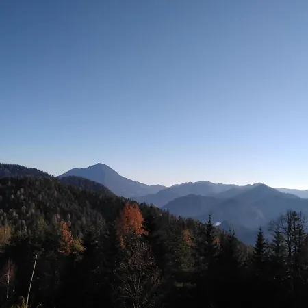 Koca Na Pikovem アパート *